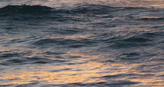 The Long and The Short of It